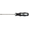 Draper Expert Torx Screwdriver T10 75mm